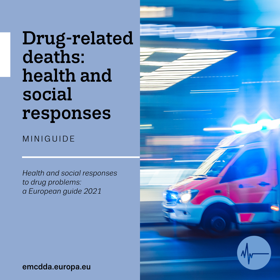 cover of mini guide drug-related deaths: health and social responses