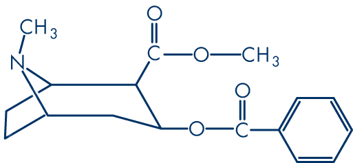 Molecular structure of cocaine