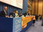 Scientific Director on the panel