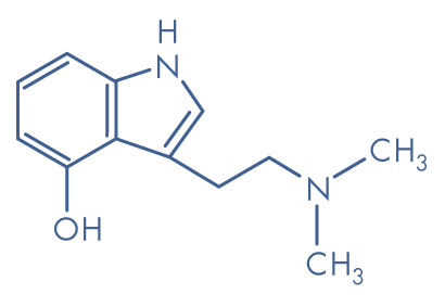 Molecular structure of psilocin