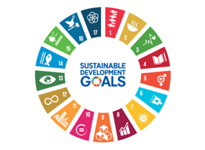 UN logo for the sustainable development goals (SDG) initiative