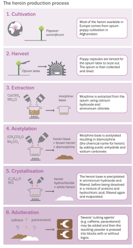 Overview of the heroin production process