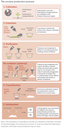 overview of the cocaine production process