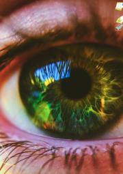 zoomed eye with european web survey on drugs logo