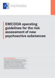 Cover page of risk assessment guidelines