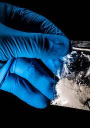 A hand with a blue rubber glove holding a transparent plastic sachet with a white powder
