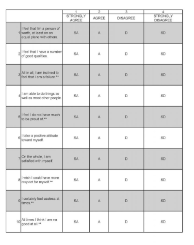 Rosenberg Self-Esteem Scale (SES) 