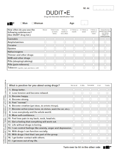 First page of DUDIT-E as a preview. Text is visible but blurred (download the DUDIT-E PDF to read the text). Visible text says: DUDIT-E at top of page and beneath are two boxes contained text and options. 