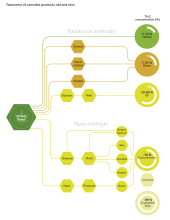graphic showing different types of cannabis products and their THC concentration levels
