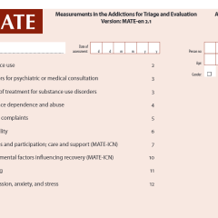 Measurements in the Addictions for Triage and Evaluation - MATE