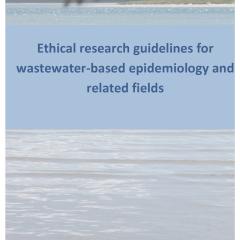 Publication thumbnail