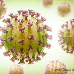 image of covid19 virus