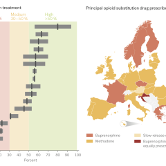Opioid substitution treatment in Europe: coverage and principal drug prescribed