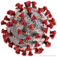 Novel coronavirus viewed through an electron microscope