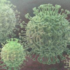 Computer-generated simulation of a corona virus (copyrighted)