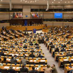 European Parliament