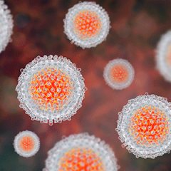 hepatitis virus