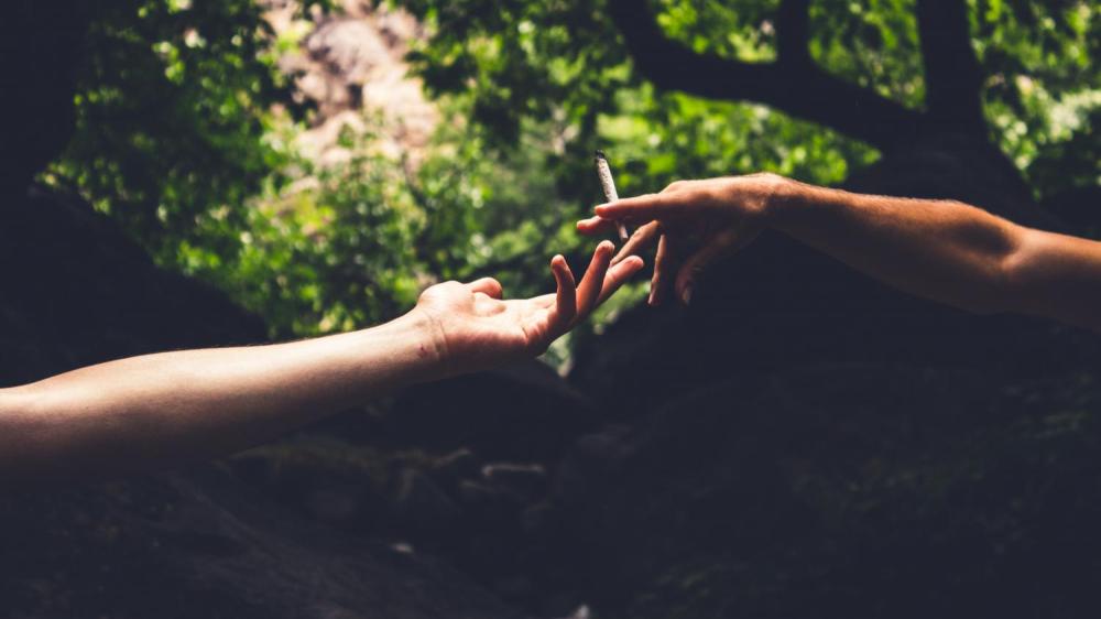 close up of arms of two people sharing a cannabis joint (photo credit Louis Hansel, Unsplash)