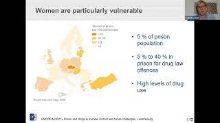 Screenshot of a presentation from the EMCDDA webinar on prison and drugs